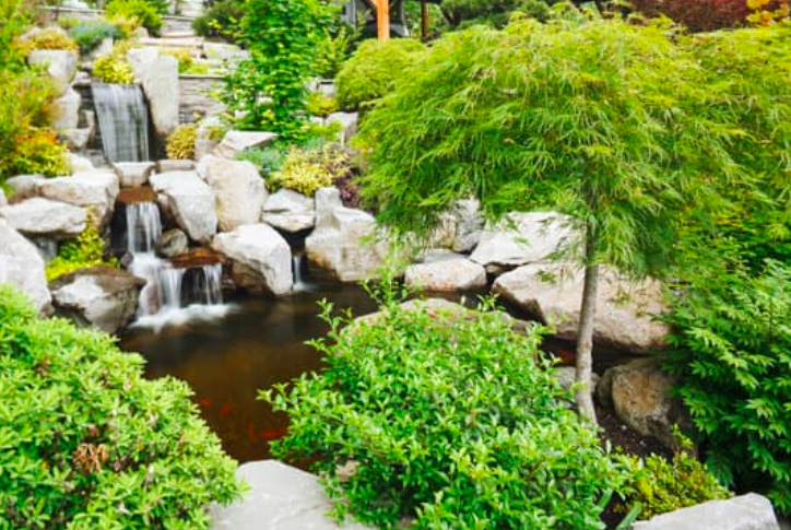 this image shows landscaping service in Chino Hills, California